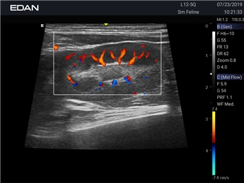 EDAN Acclarix AX8 VET